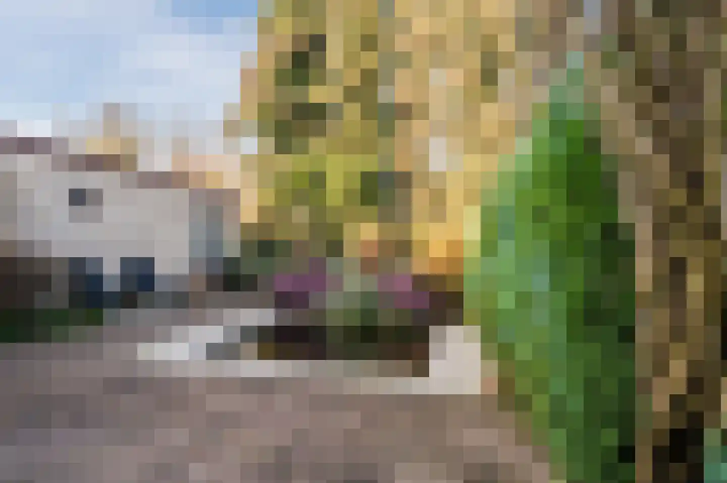 Heibeekstraat 16 Geldrop thumbnail 38