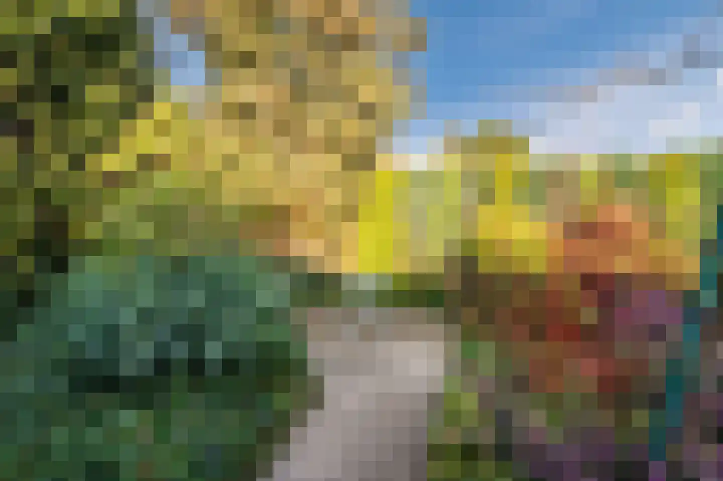 Heibeekstraat 16 Geldrop thumbnail 39