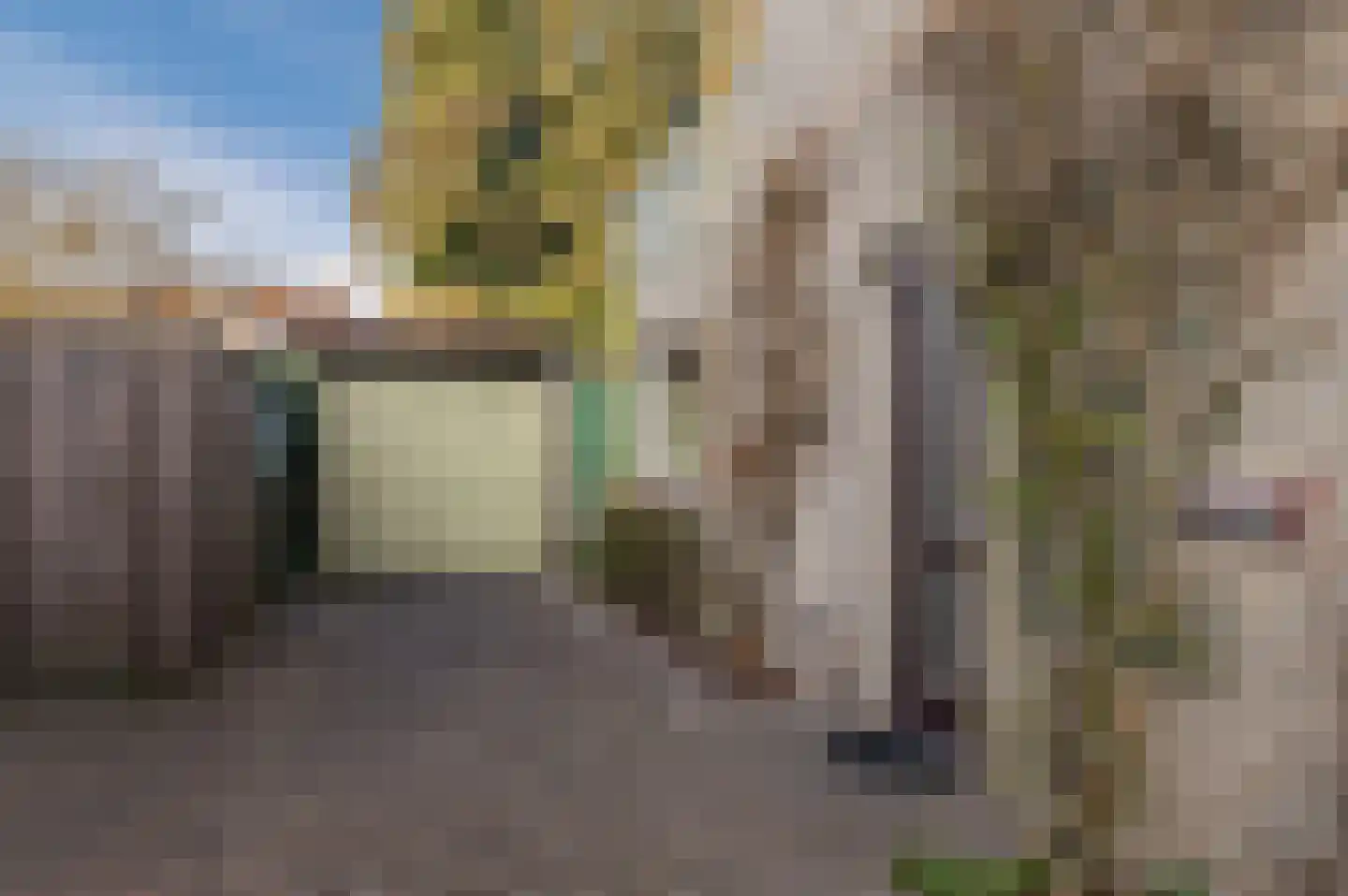Heibeekstraat 16 Geldrop thumbnail 4