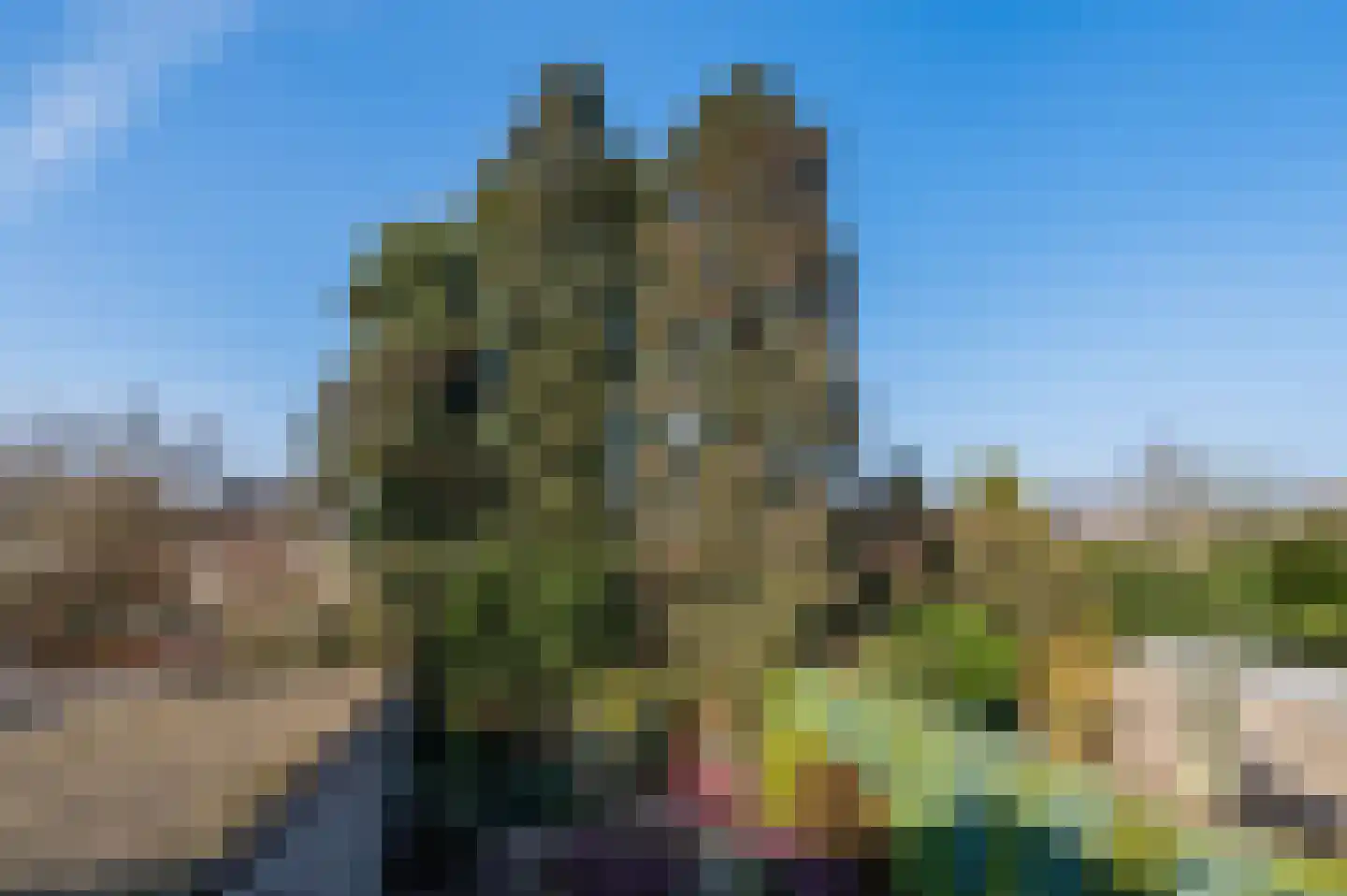 Heibeekstraat 16 Geldrop thumbnail 41