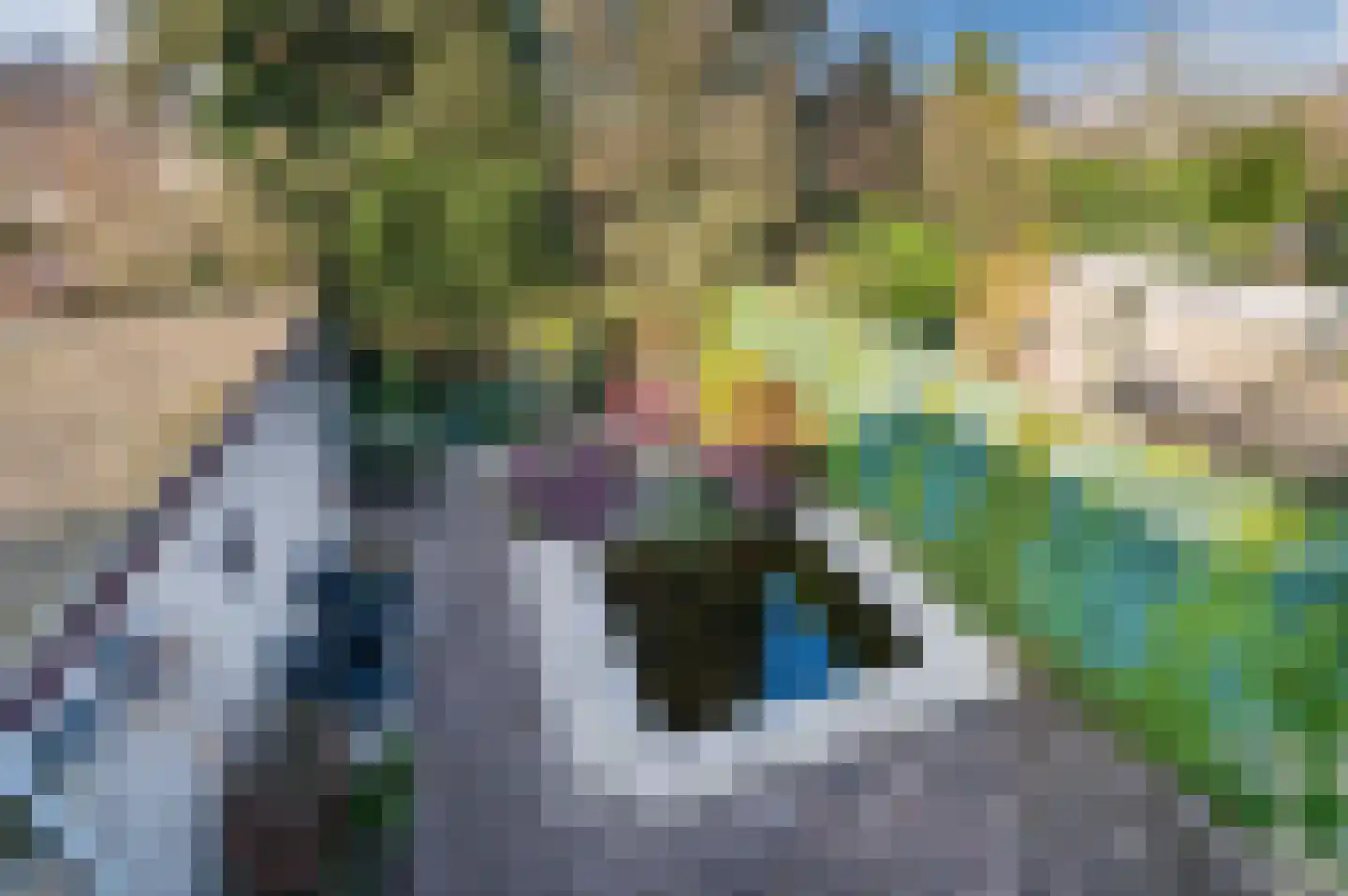 Heibeekstraat 16 Geldrop thumbnail 42