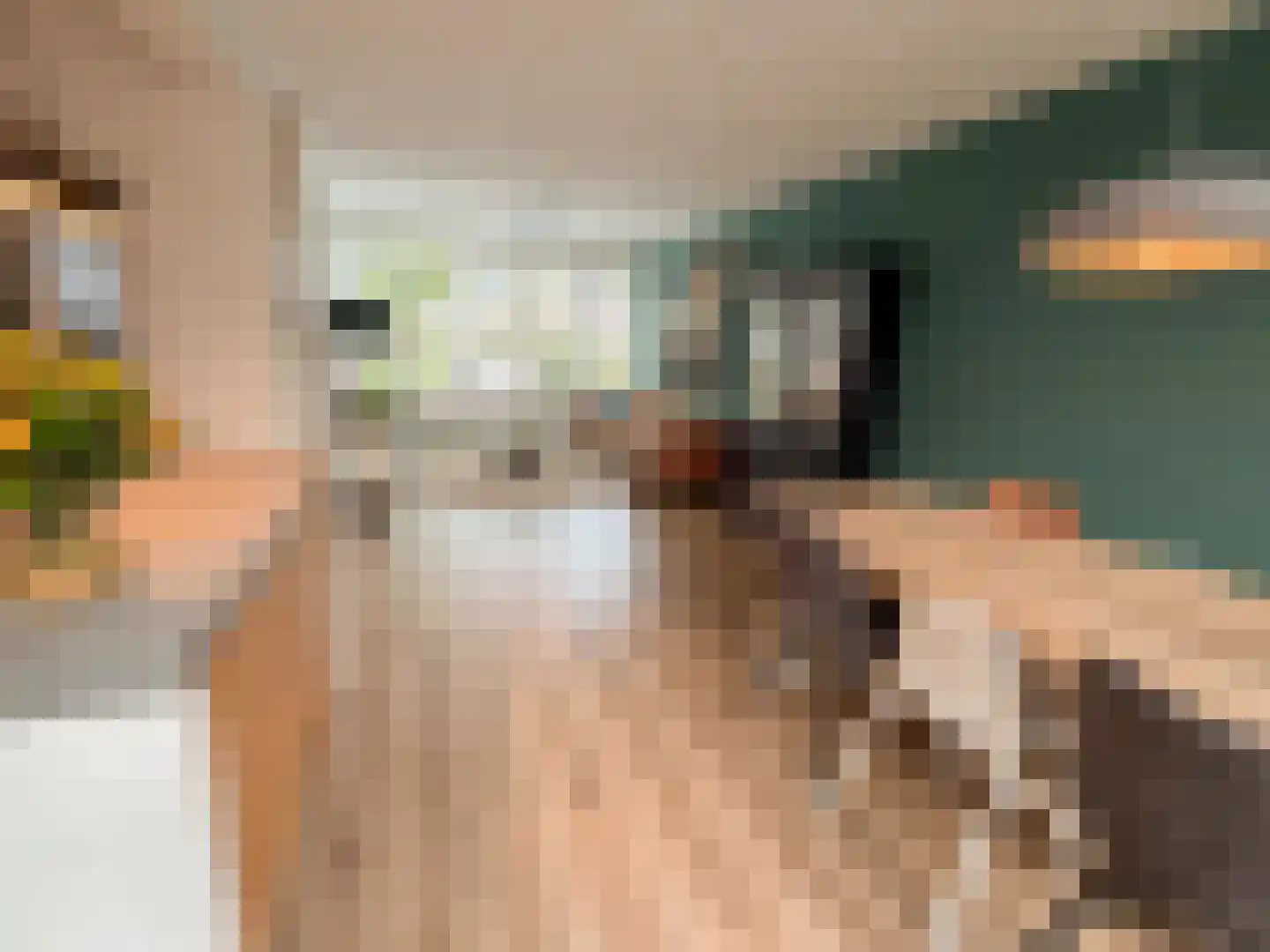 Heibeekstraat 17 Geldrop thumbnail 16