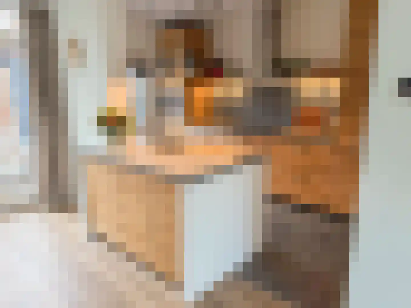 Heibeekstraat 17 Geldrop thumbnail 17