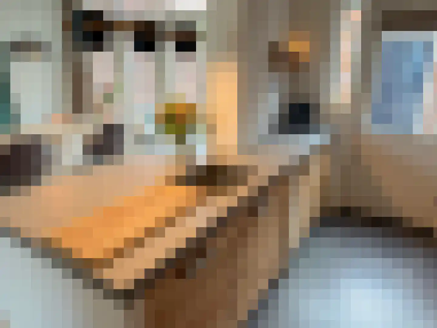 Heibeekstraat 17 Geldrop thumbnail 19
