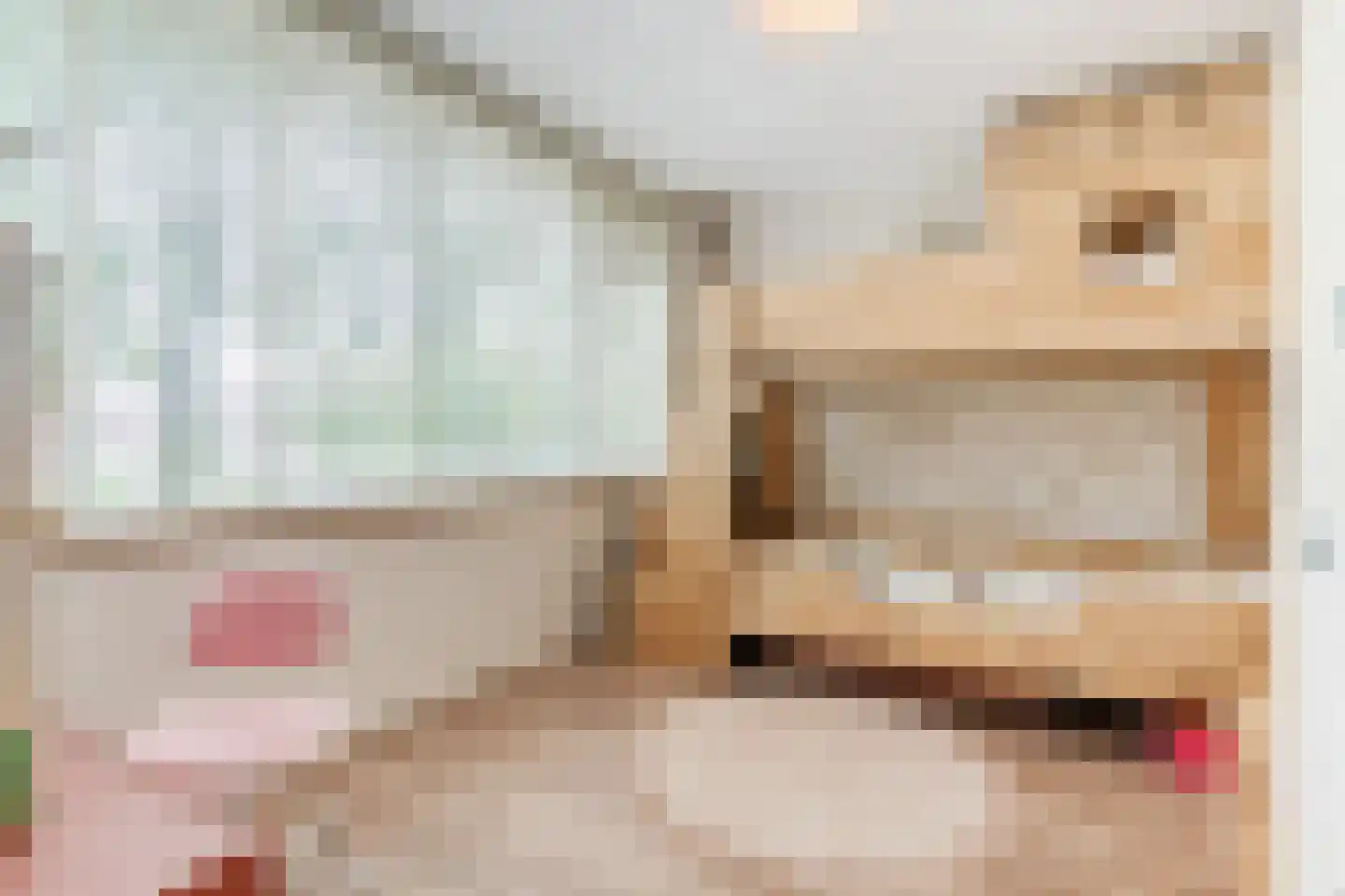 Heibeekstraat 17 Geldrop thumbnail 33