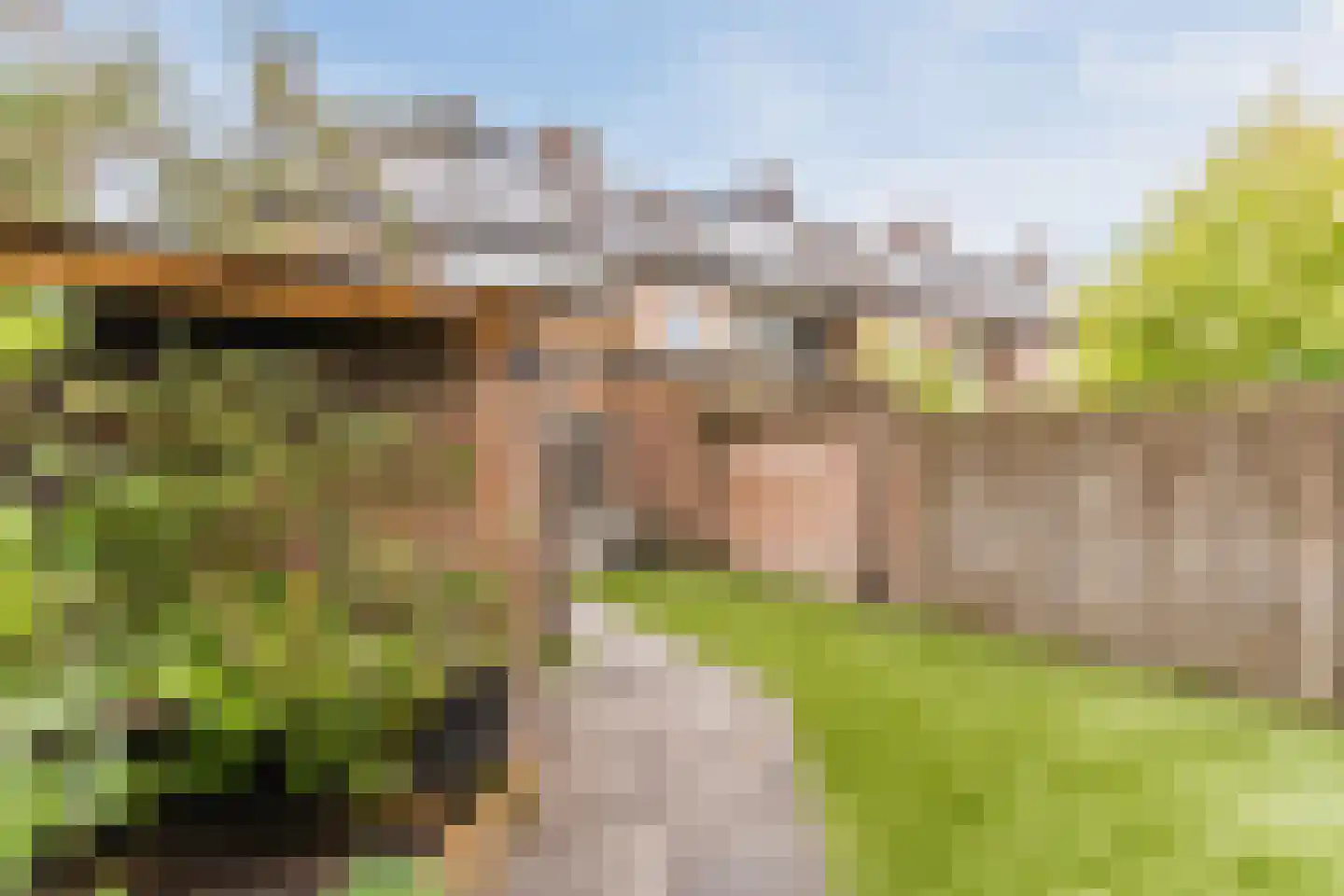 Heibeekstraat 17 Geldrop thumbnail 49