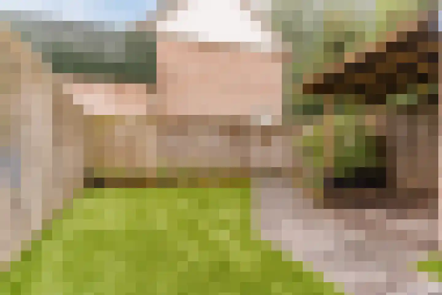 Heibeekstraat 17 Geldrop thumbnail 56