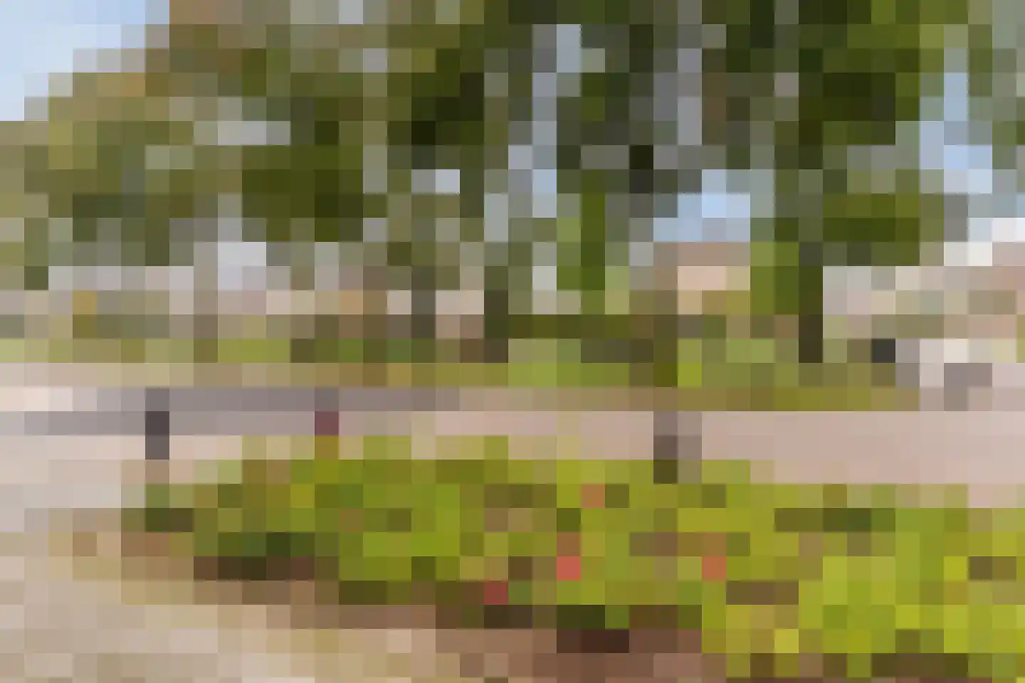 Heibeekstraat 17 Geldrop thumbnail 60