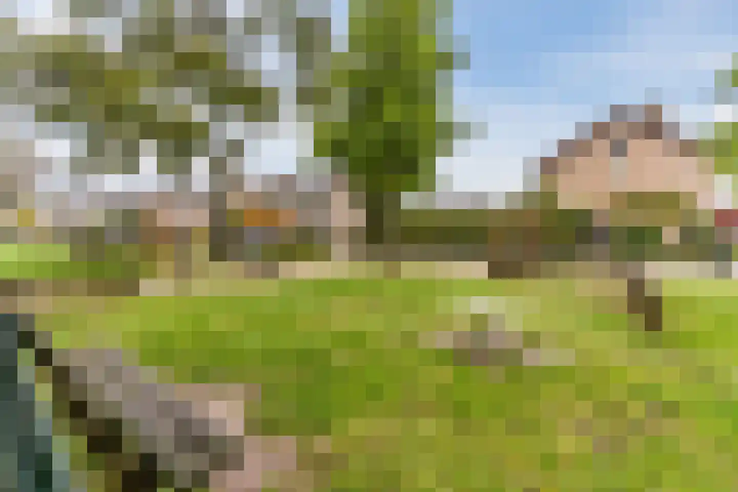 Heibeekstraat 17 Geldrop thumbnail 61