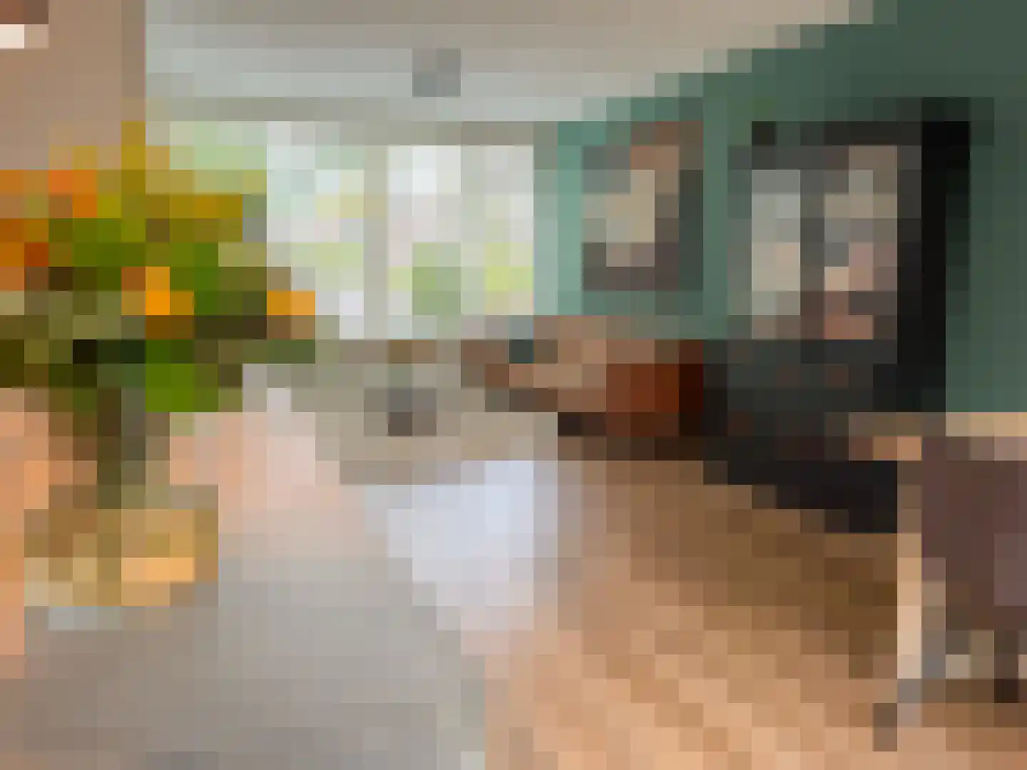 Heibeekstraat 17 Geldrop thumbnail 9