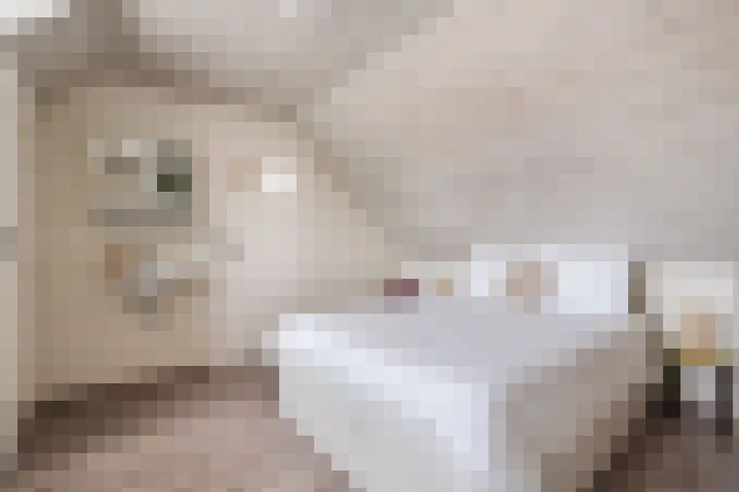 Heibeekstraat 39 Geldrop thumbnail 35