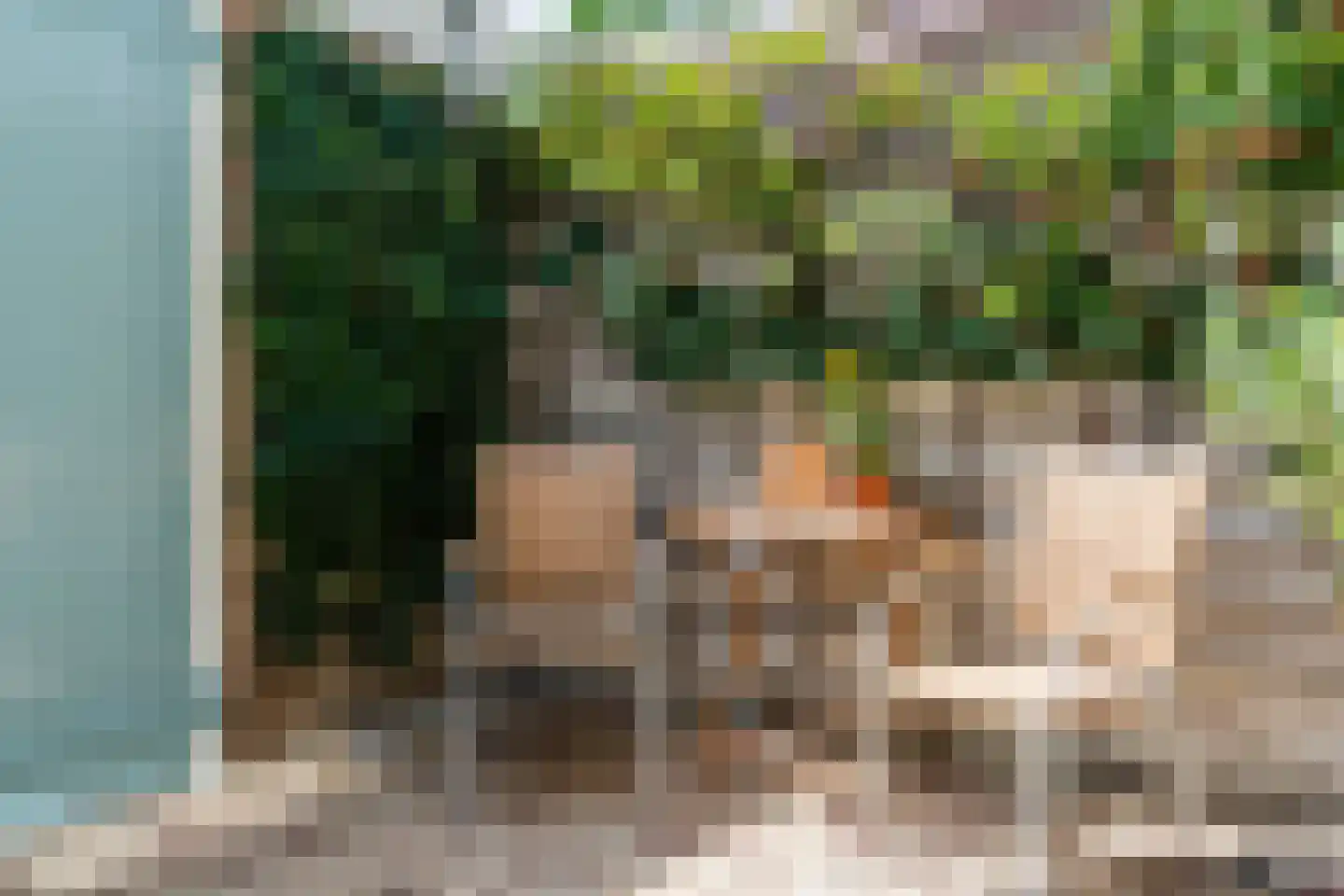 Heibeekstraat 39 Geldrop thumbnail 39