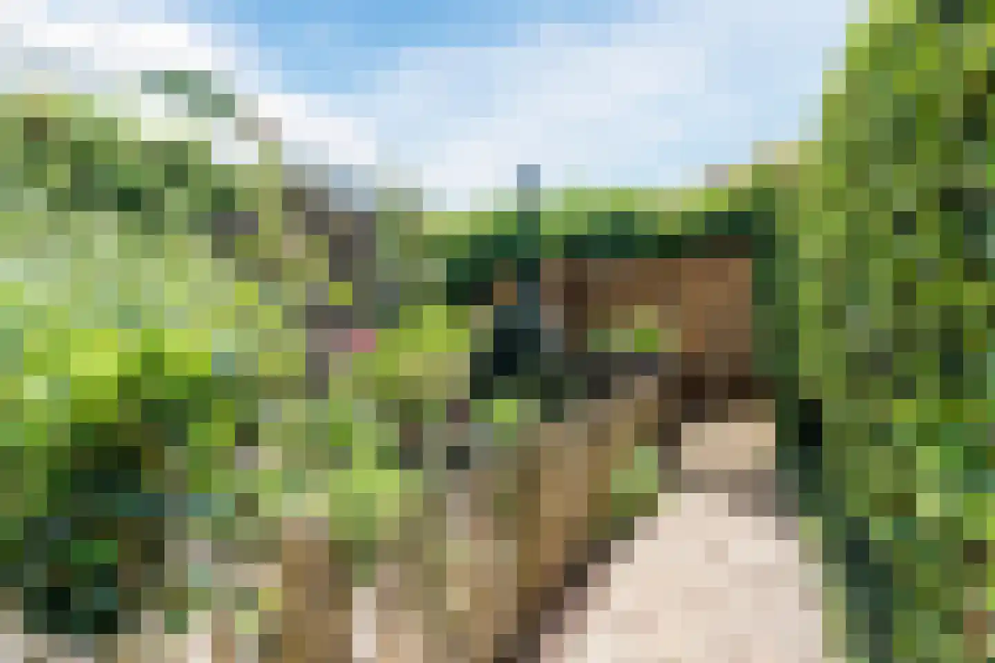 Heibeekstraat 39 Geldrop thumbnail 40