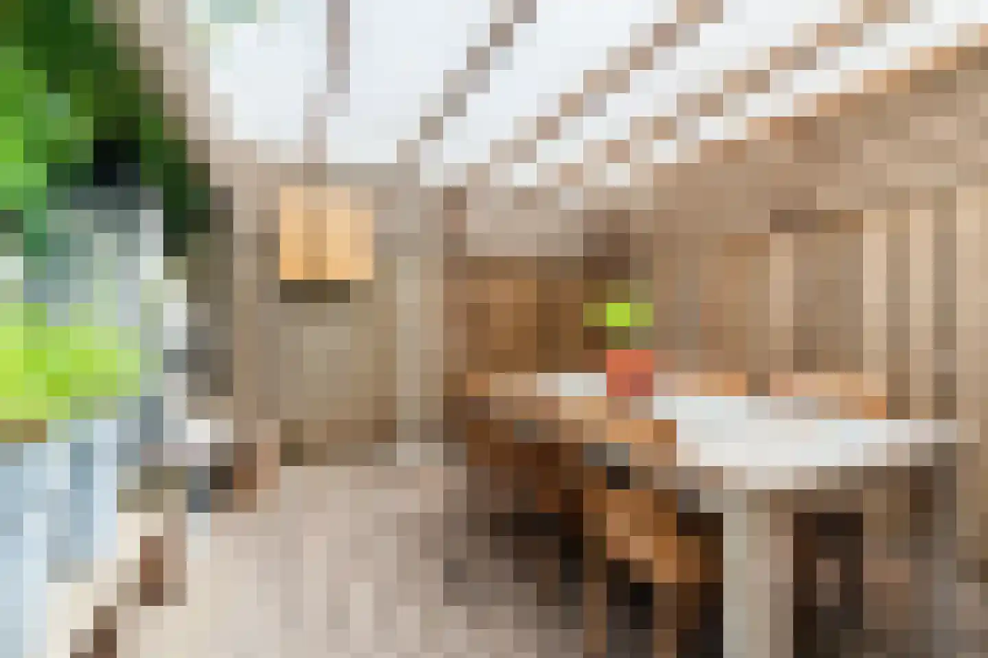 Heibeekstraat 39 Geldrop thumbnail 43