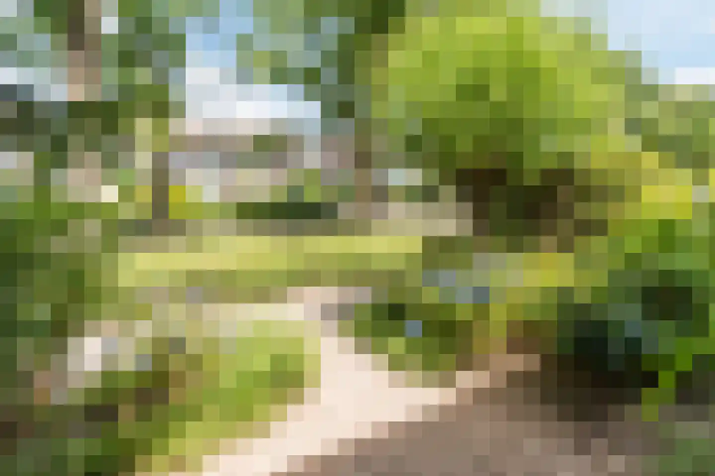 Heibeekstraat 39 Geldrop thumbnail 48