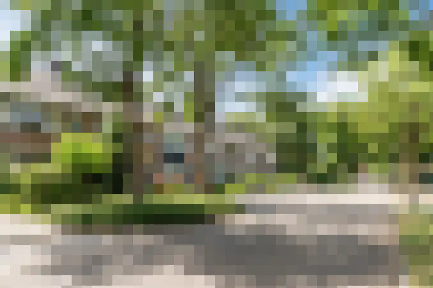 Heibeekstraat 39 Geldrop thumbnail 50