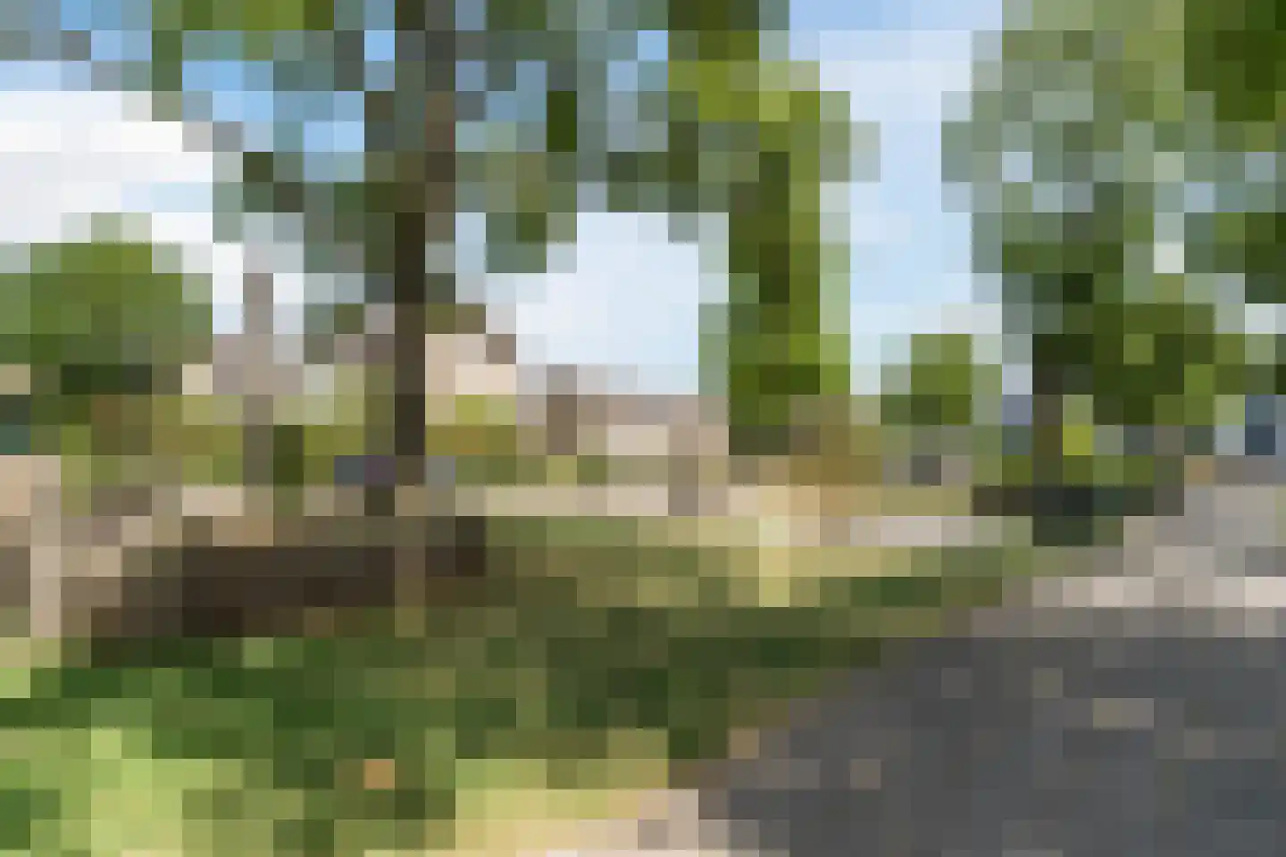 Heibeekstraat 39 Geldrop thumbnail 51