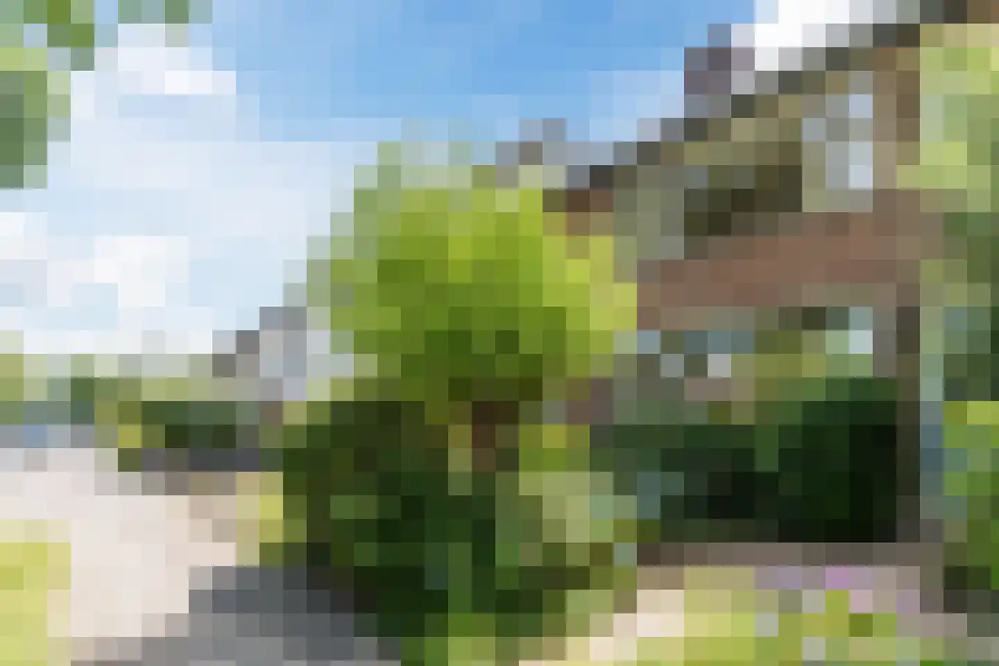 Heibeekstraat 39 Geldrop thumbnail 7