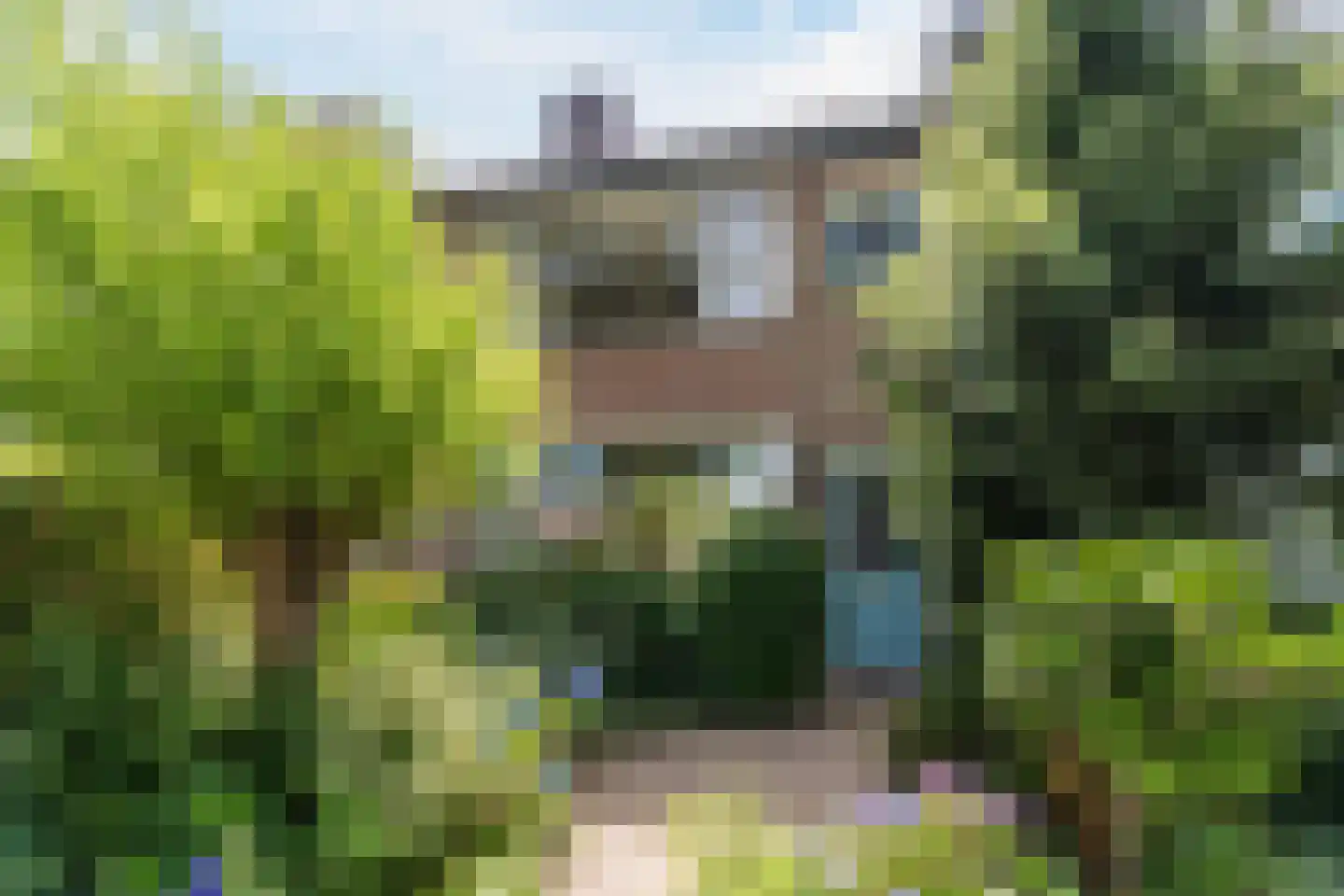 Heibeekstraat 39 Geldrop thumbnail 8