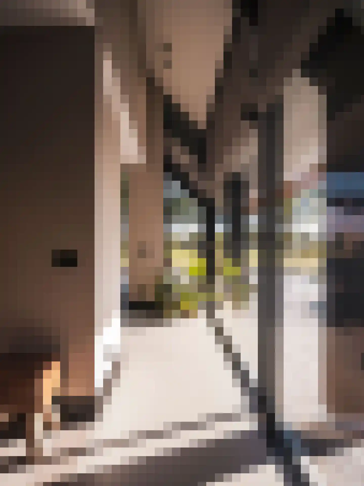 Heibloem 18 Eersel thumbnail 6