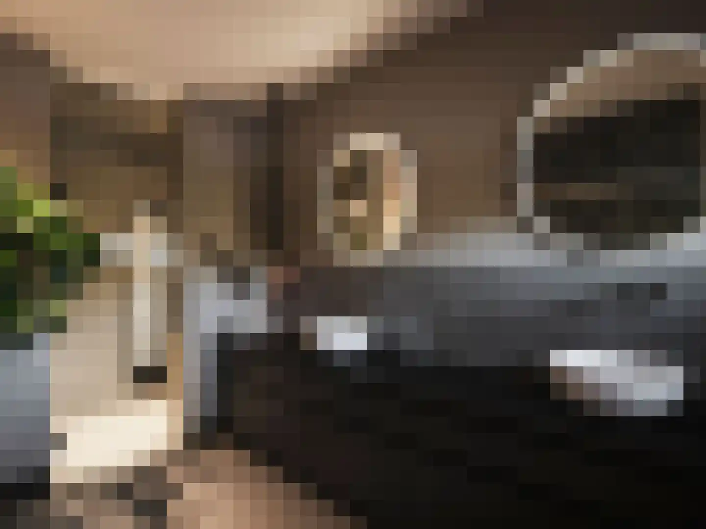 Heibloem 18 Eersel thumbnail 8