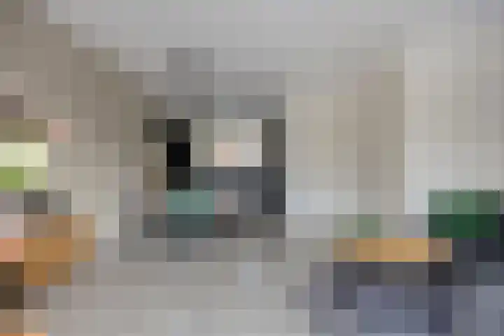 Heibloem 19 Oirschot thumbnail 13