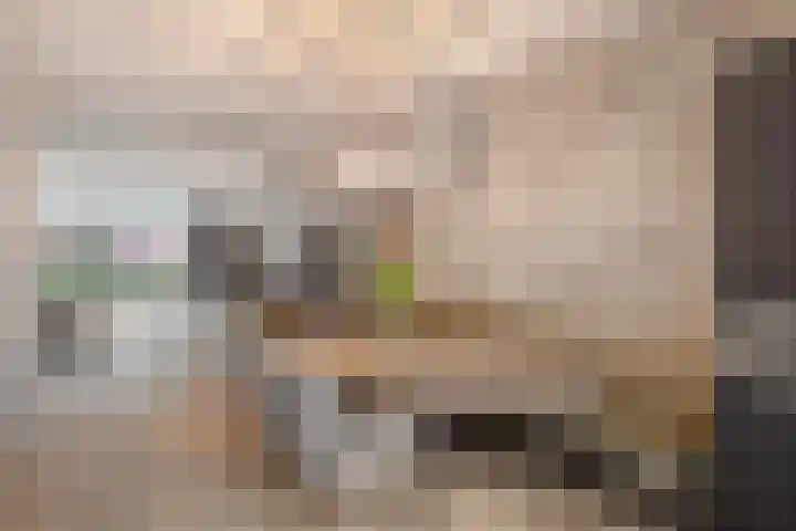 Heibloem 20 Rosmalen thumbnail 12