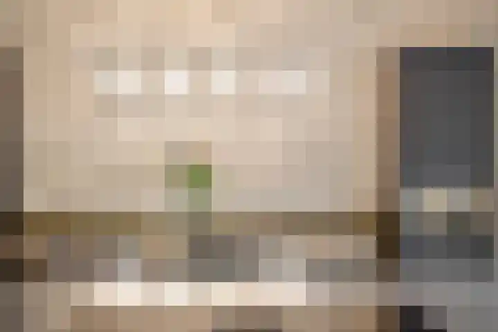 Heibloem 20 Rosmalen thumbnail 16