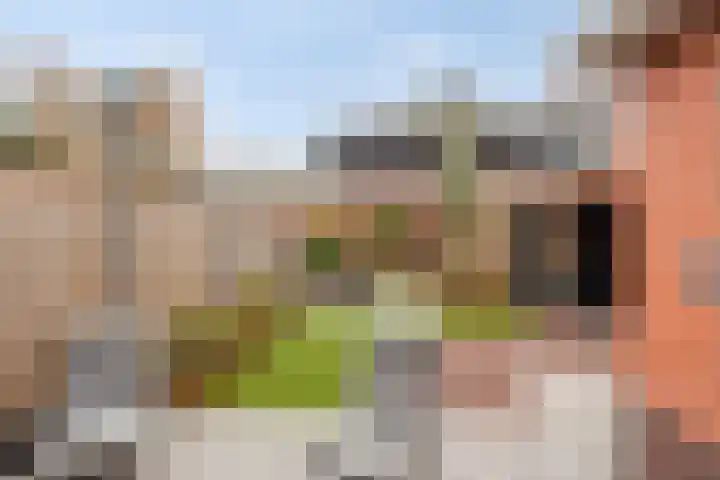 Heibloem 20 Rosmalen thumbnail 39