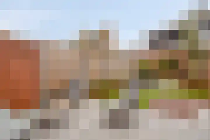 Heibloem 20 Rosmalen thumbnail 40