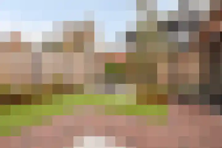 Heibloem 20 Rosmalen thumbnail 42
