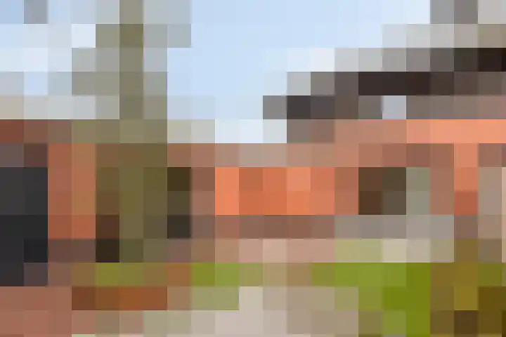 Heibloem 20 Rosmalen thumbnail 43