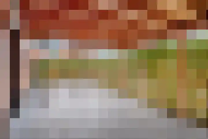 Heibloem 20 Rosmalen thumbnail 46