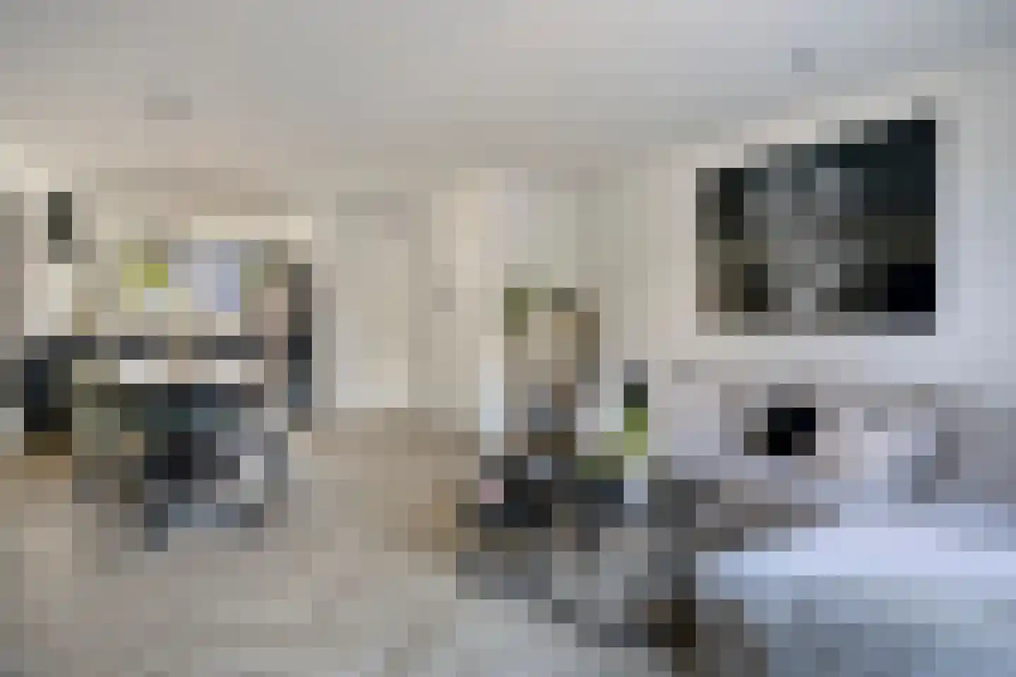 Heibloem 3 Oirschot thumbnail 15