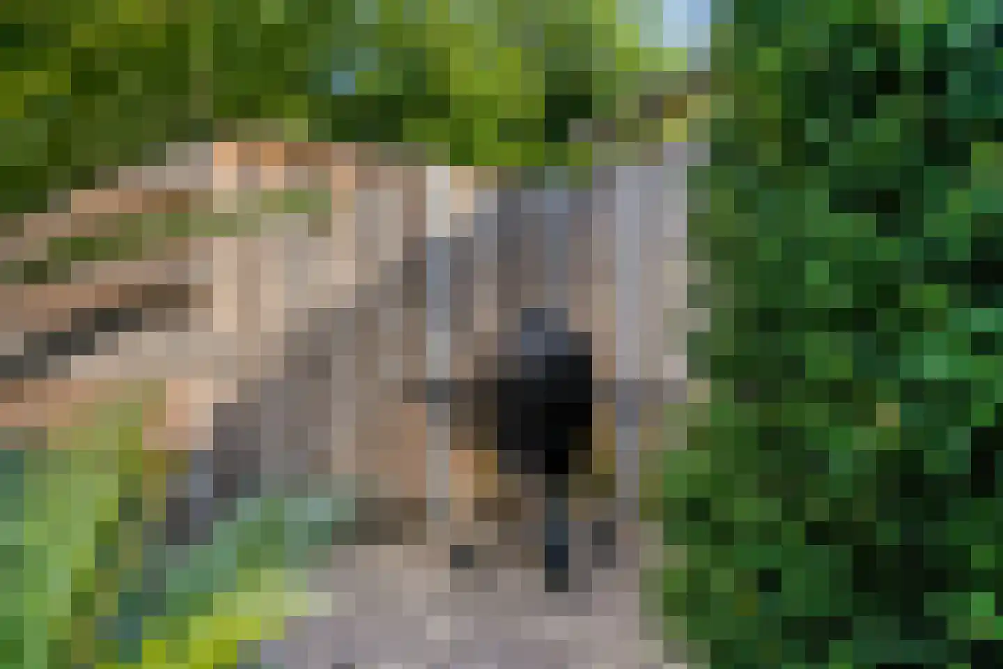 Heibloem 3 Oirschot thumbnail 30