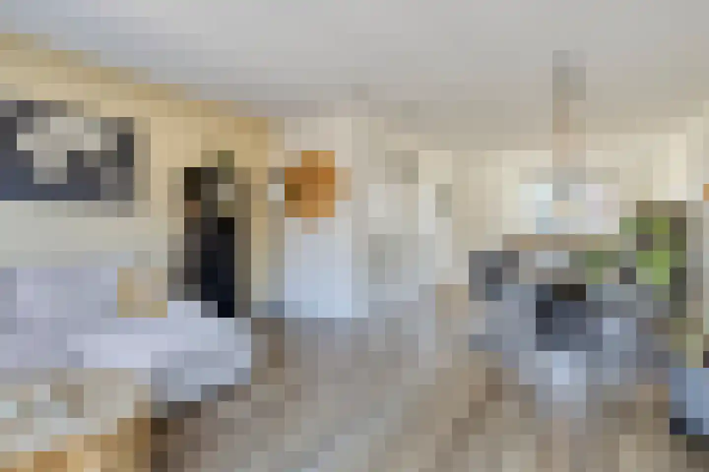 Heibloem 5 Oirschot thumbnail 11