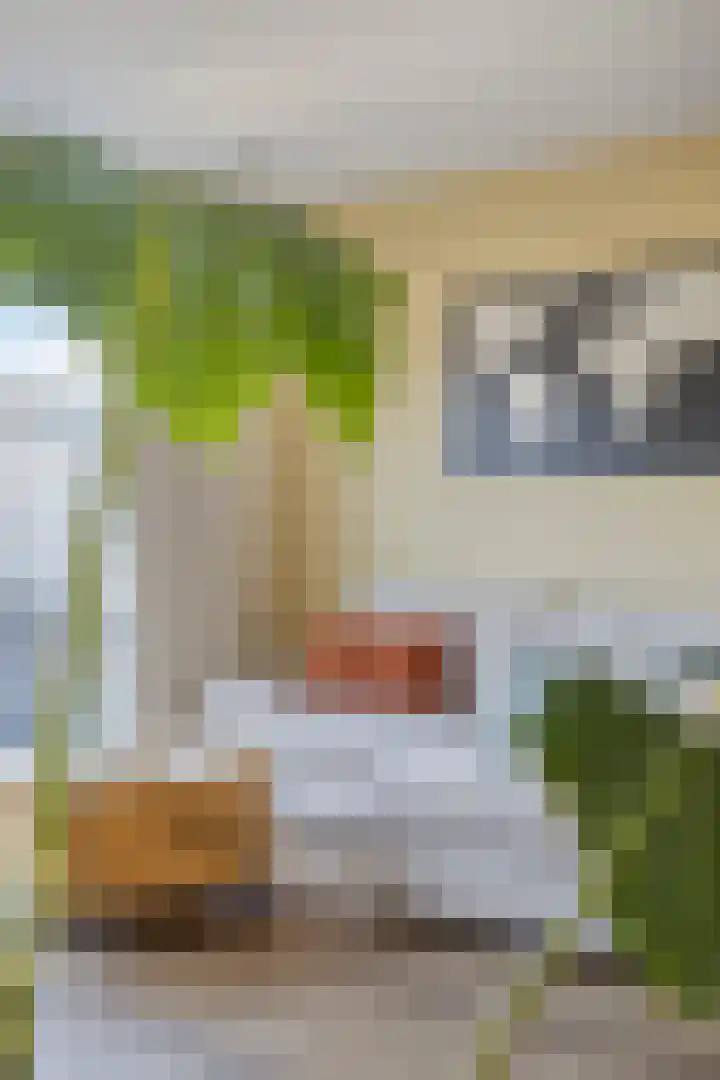 Heibloem 5 Oirschot thumbnail 12