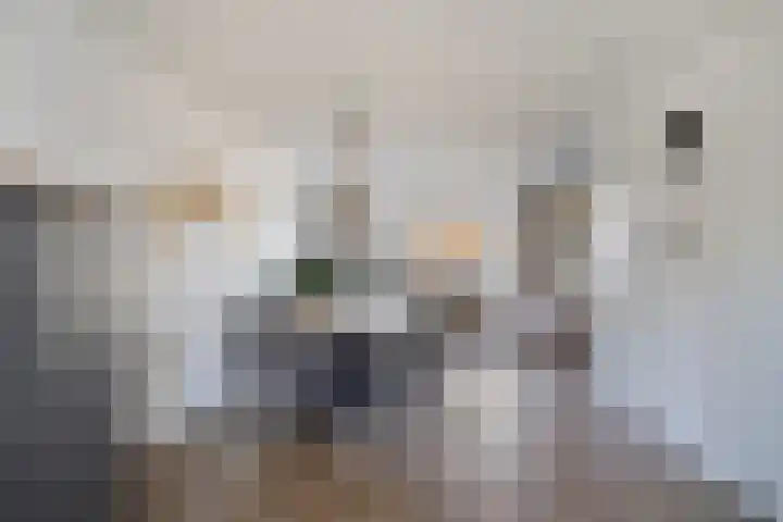 Heibloem 5 Oirschot thumbnail 15
