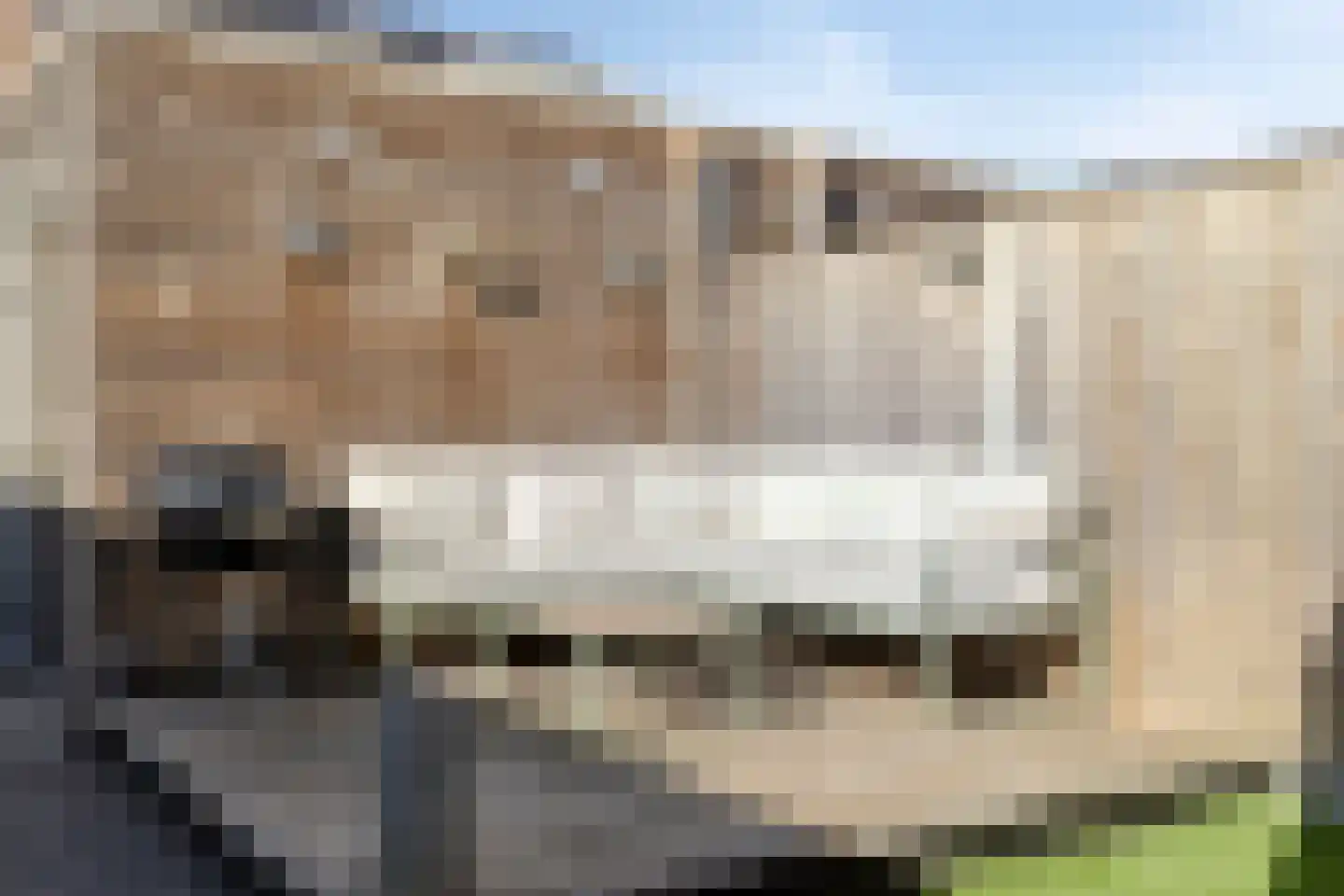 Heibloem 5 Oirschot thumbnail 28