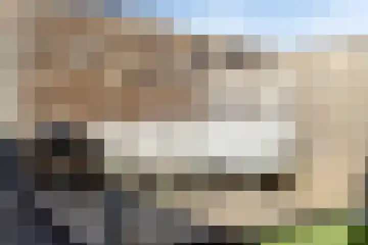 Heibloem 5 Oirschot thumbnail 28