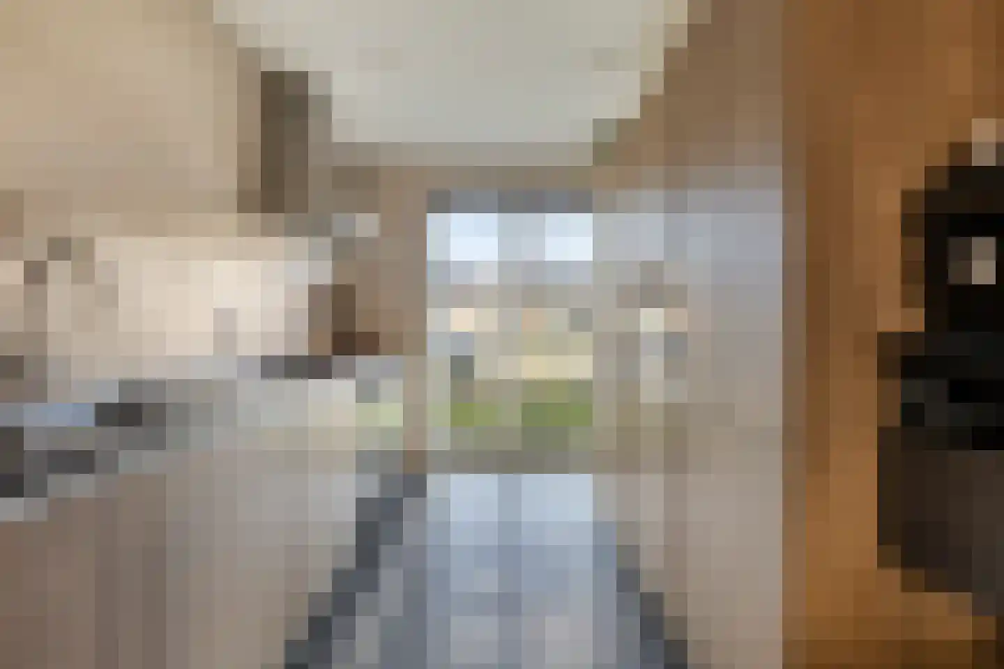 Heibloem 8 Oirschot thumbnail 10