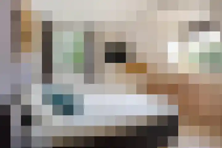 Heiblok 23 Oploo thumbnail 20