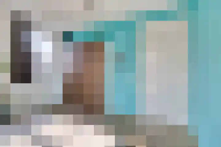 Heiblok 23 Oploo thumbnail 25