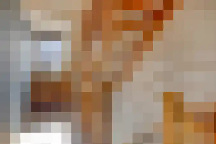 Heiblok 23 Oploo thumbnail 33
