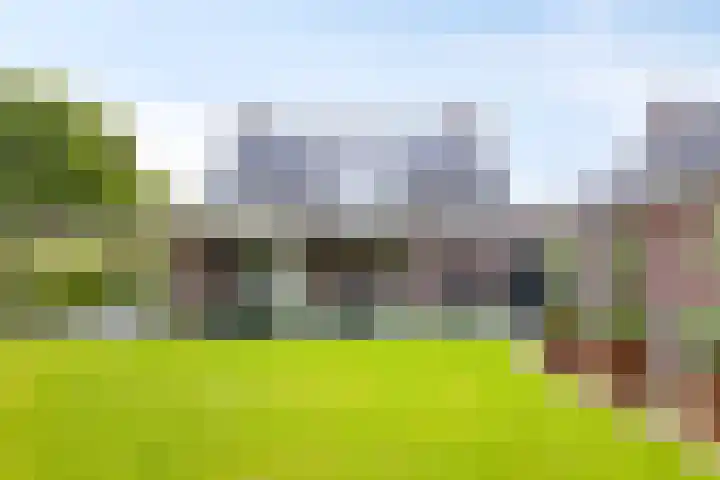 Heiblok 23 Oploo thumbnail 36