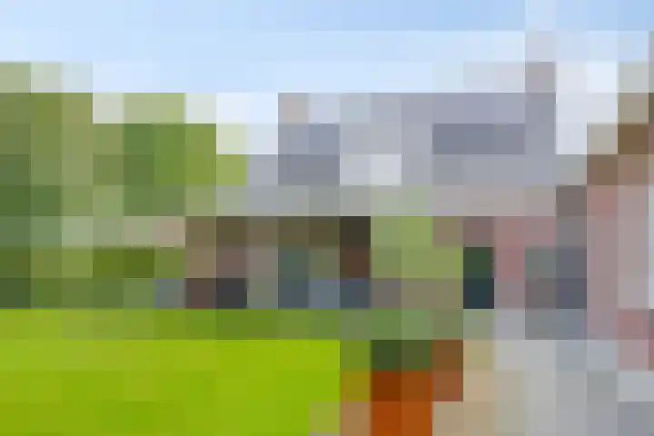 Heiblok 23 Oploo thumbnail 37