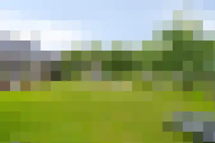 Heiblok 23 Oploo thumbnail 39