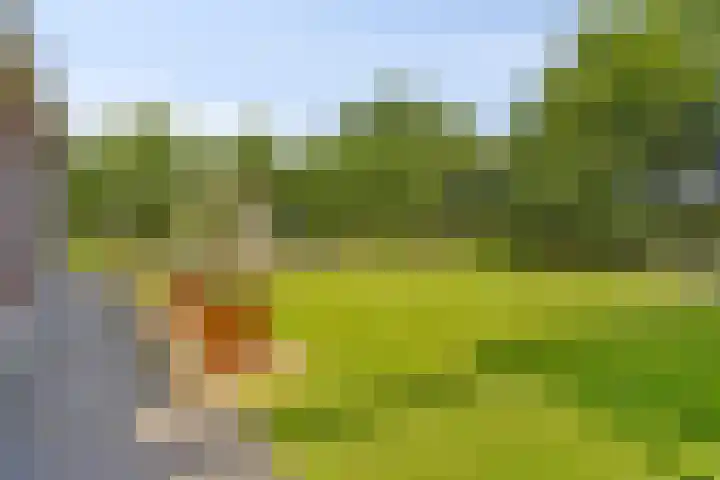 Heiblok 23 Oploo thumbnail 40