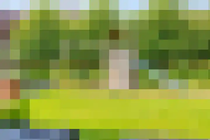 Heiblok 23 Oploo thumbnail 41