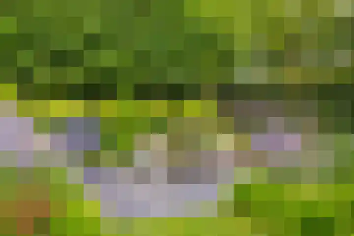 Heiblok 23 Oploo thumbnail 42